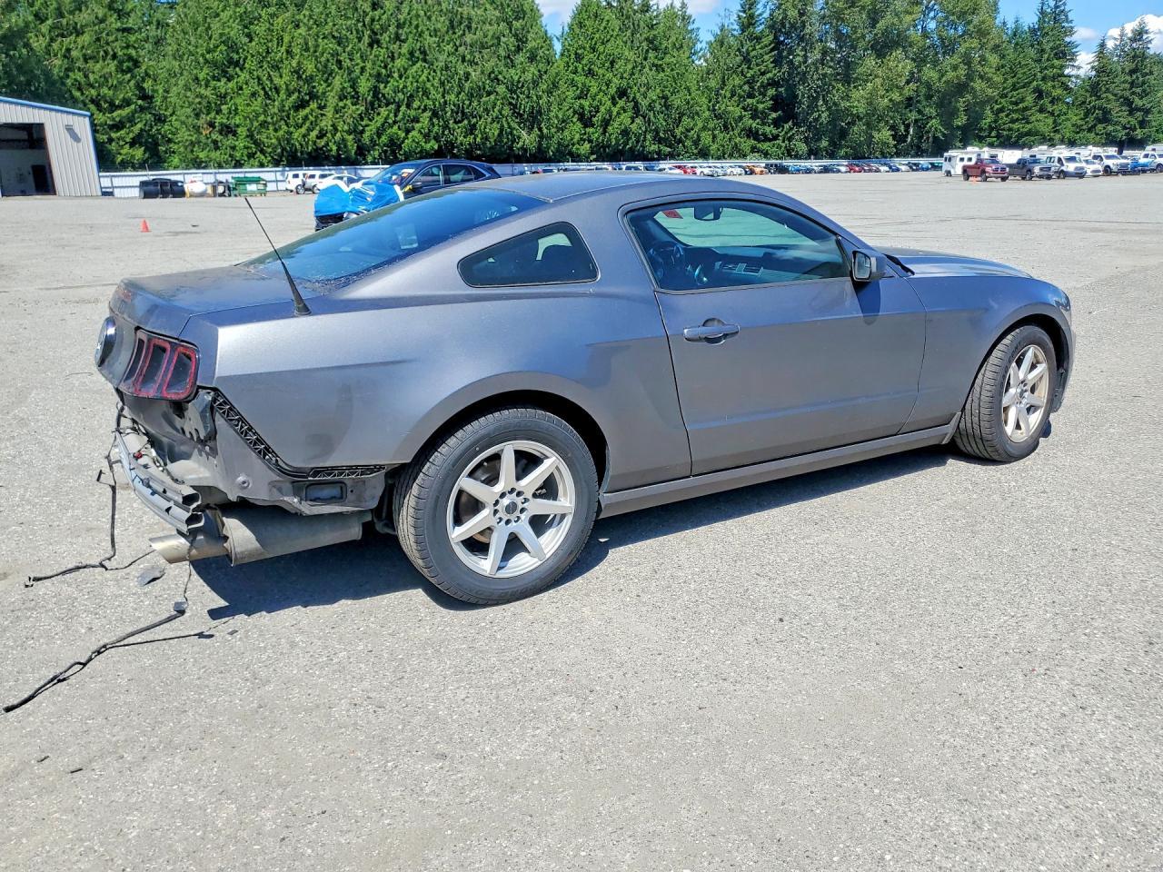 2014 Ford Mustang - Фото 3