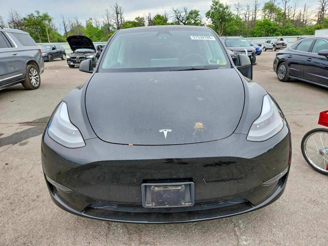 2023 Tesla Model Y - Image 5