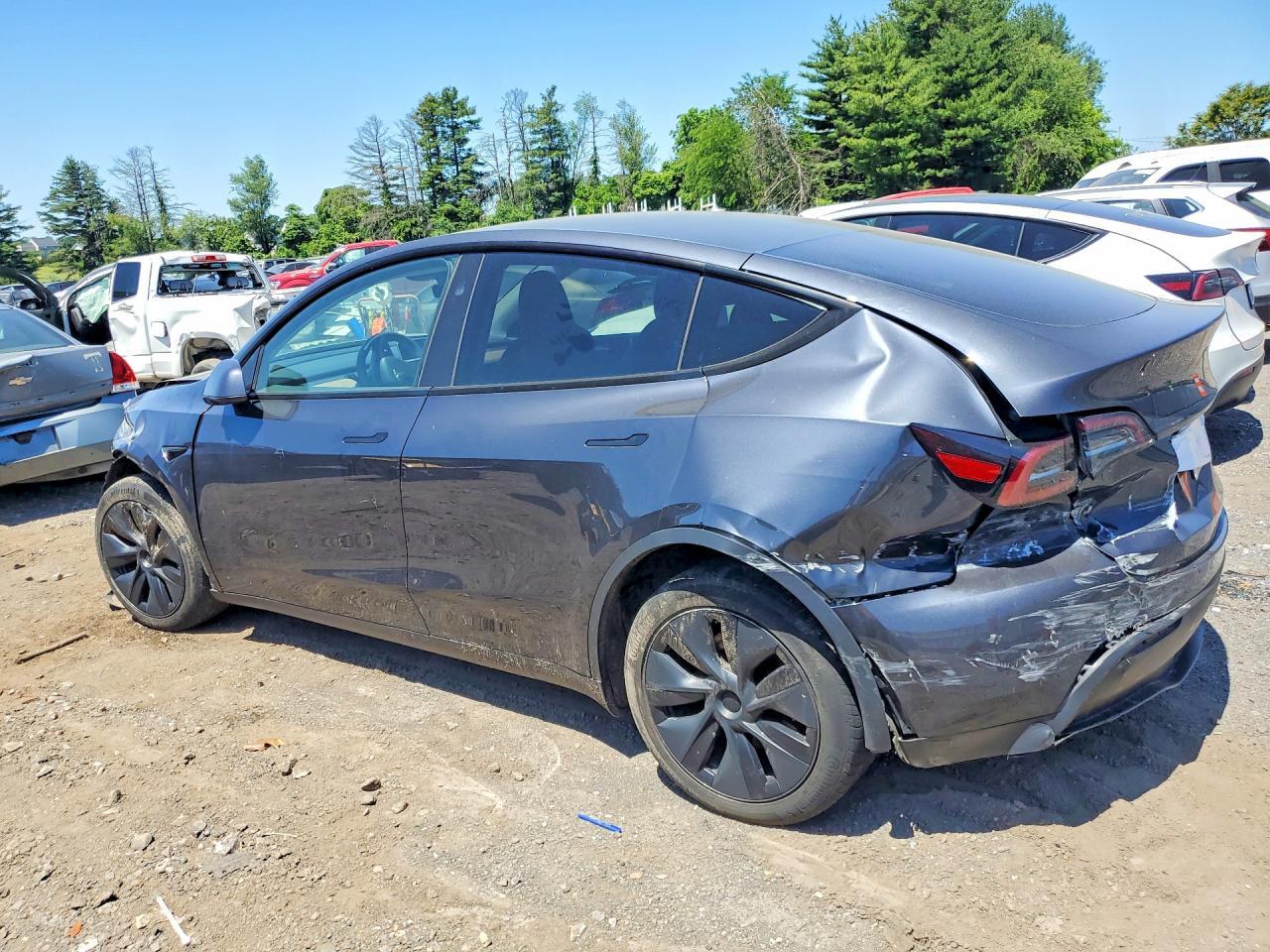 2024 Tesla Model Y - Фото 2