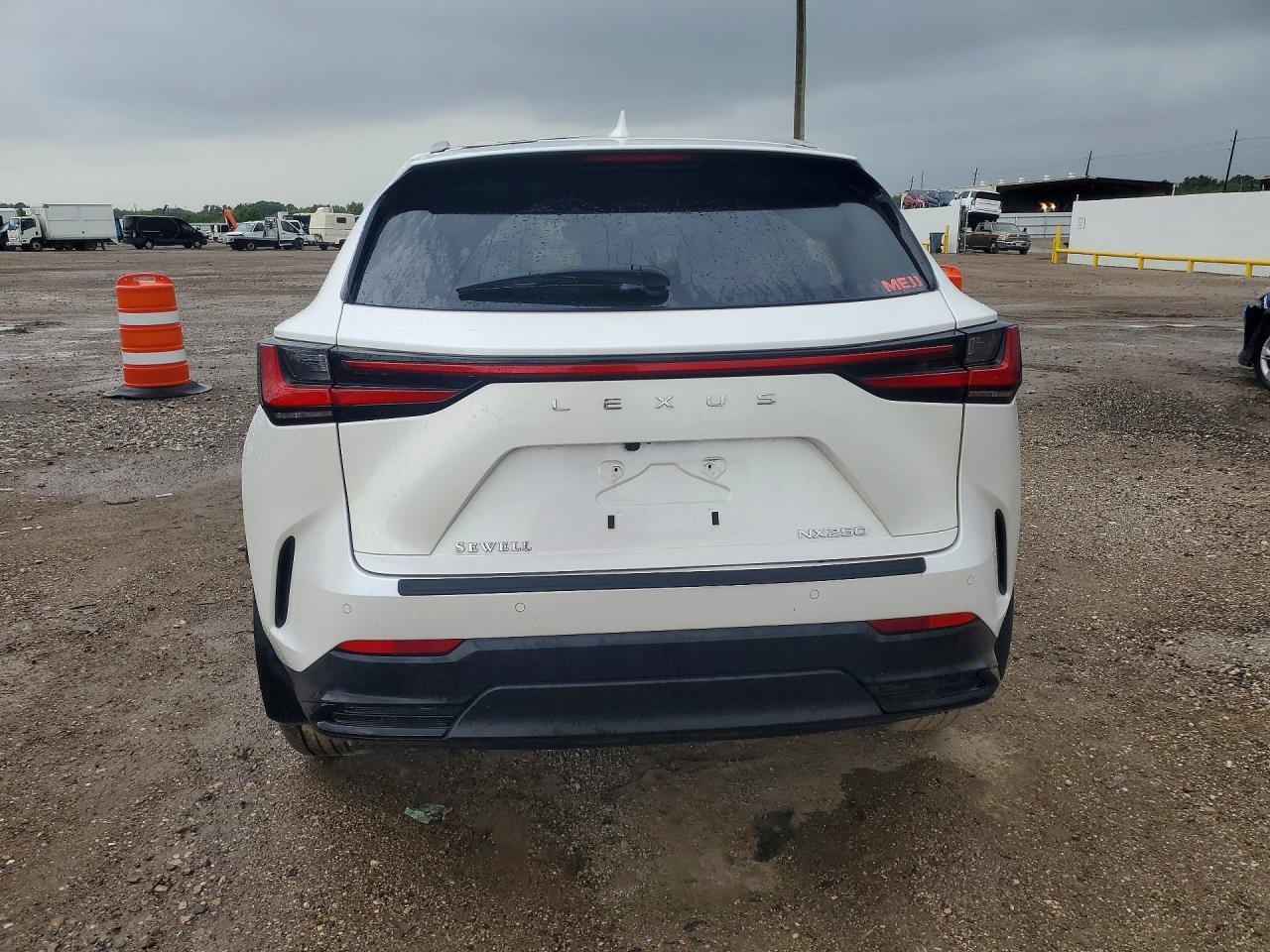 2024 Lexus Nx 250 Premium - Image 6