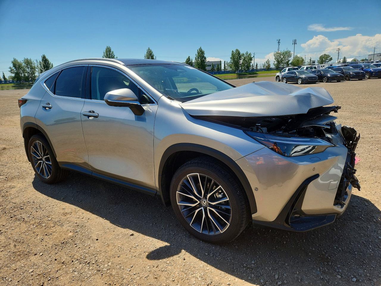 2024 Lexus Nx 350H Premium - Фото 4