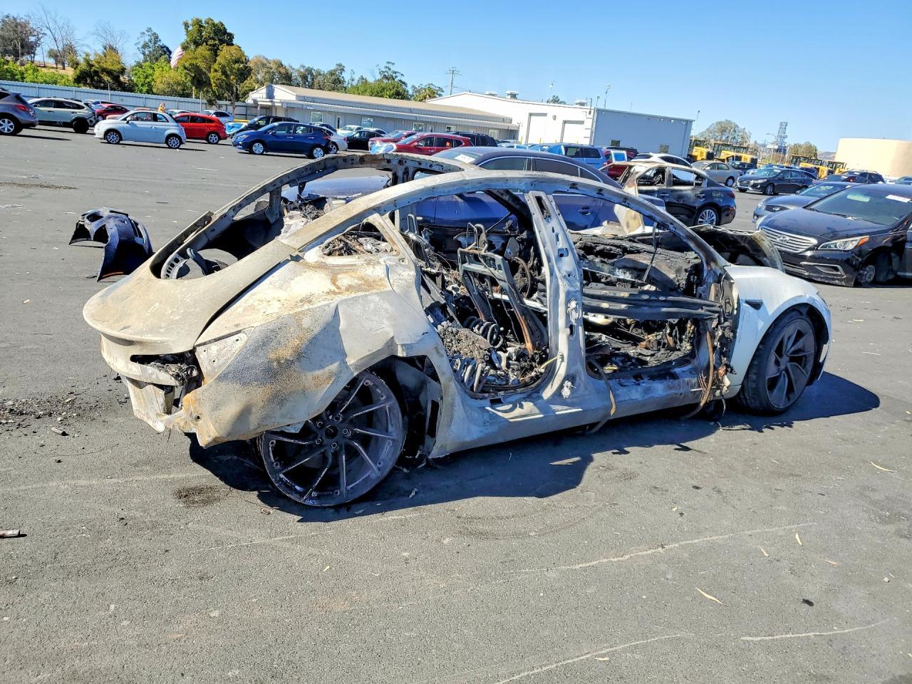 2025 Tesla Model 3 - Фото 3
