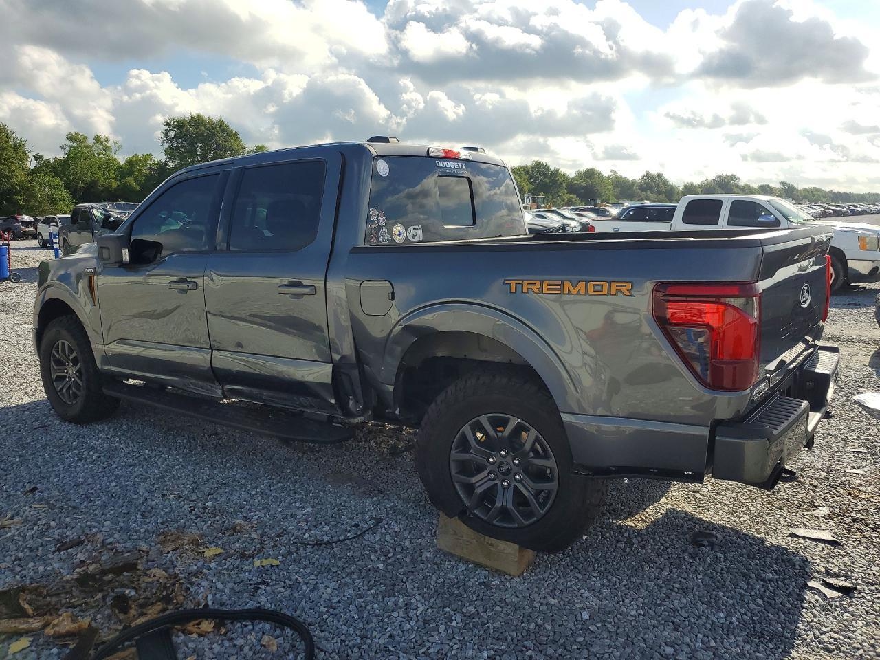 2025 Ford F150 Tremor - Image 2