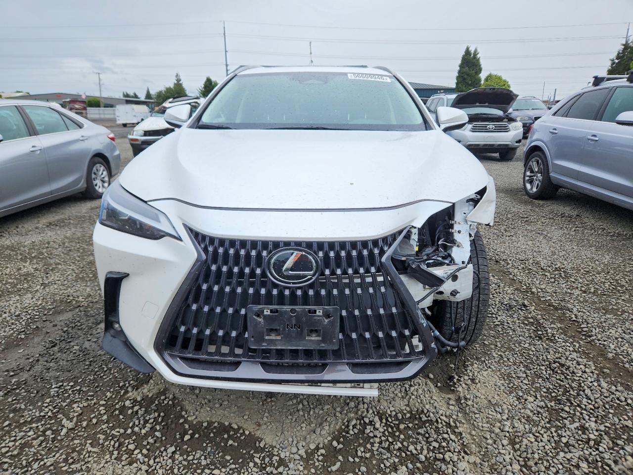 2023 Lexus Nx 350H - Image 5