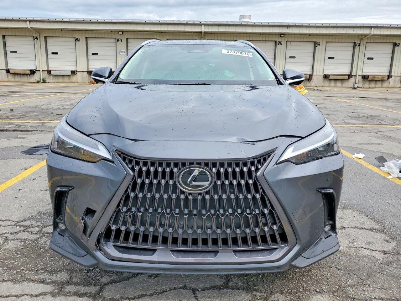 2026 Lexus Nx 350 Premium - Image 5
