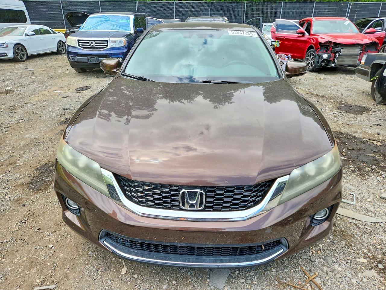 2014 Honda Accord Exl - Фото 5
