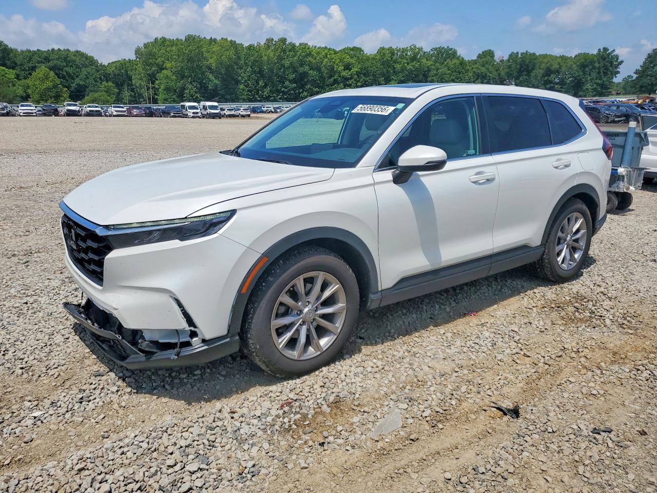 2023 Honda Cr-V Exl