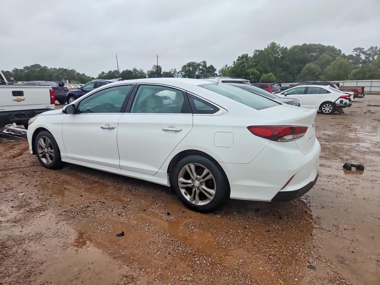 2019 Hyundai Sonata Sel - Image 2
