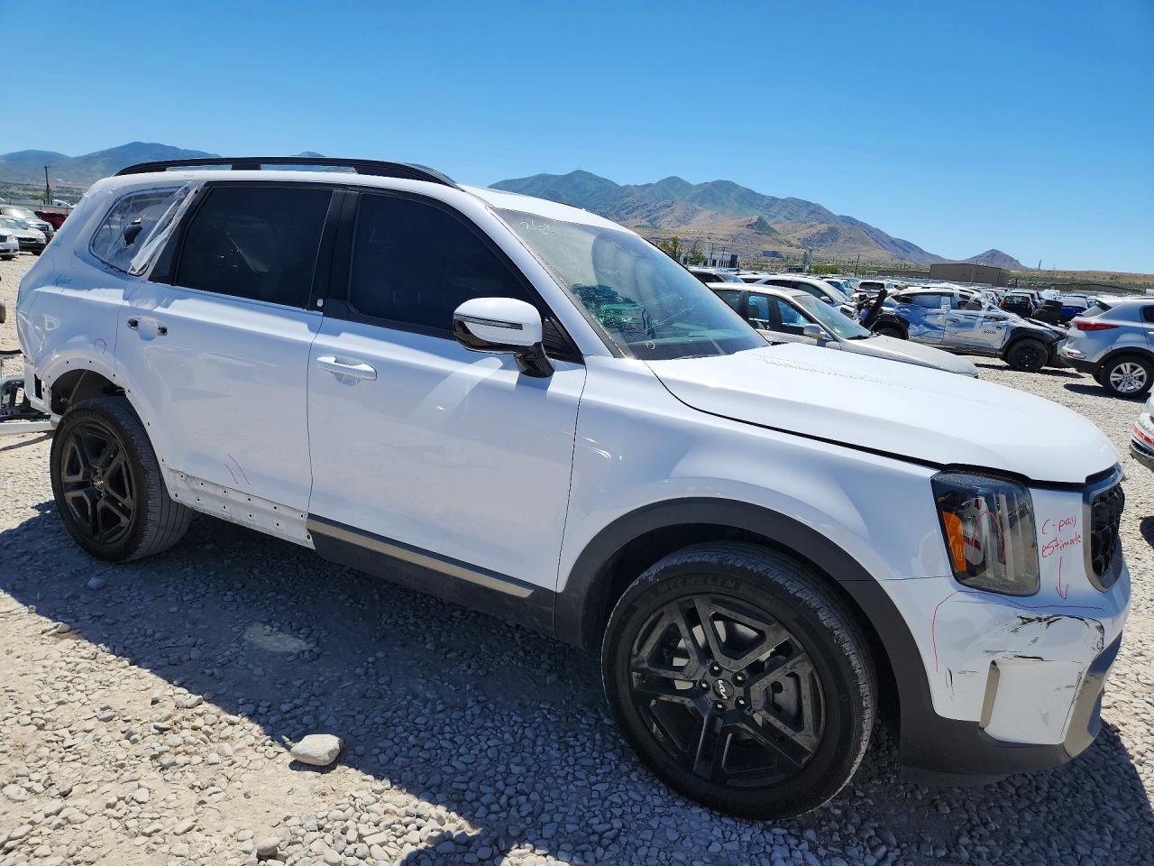 2023 Kia Telluride Sx X-Line - Фото 4