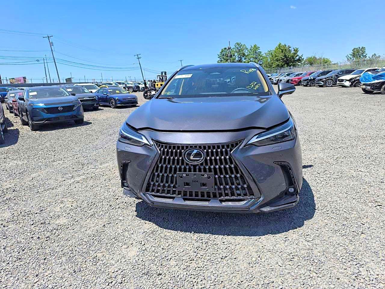 2024 Lexus Nx 350 Luxury - Фото 5