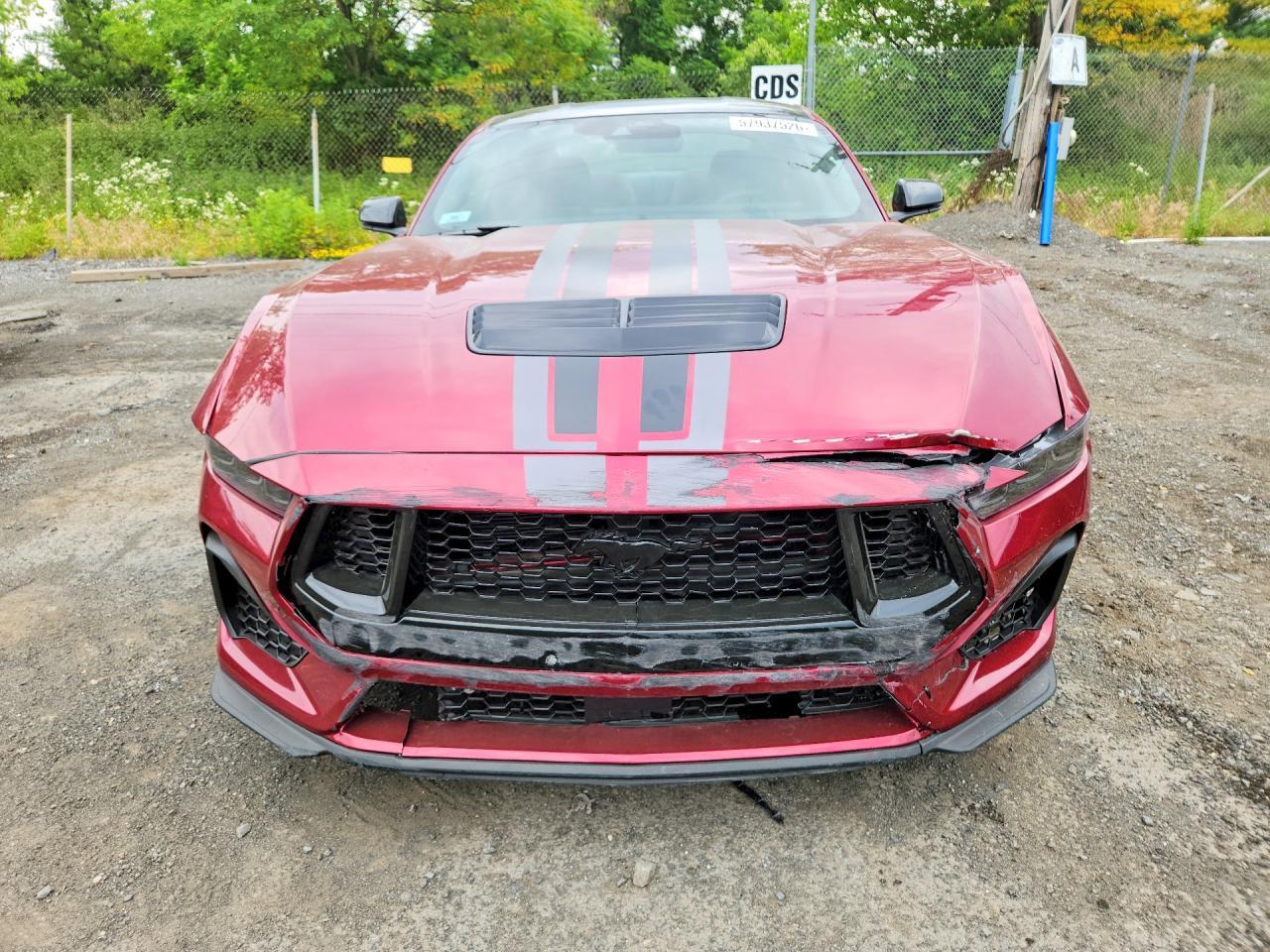 2026 Ford Mustang Gt - Image 5