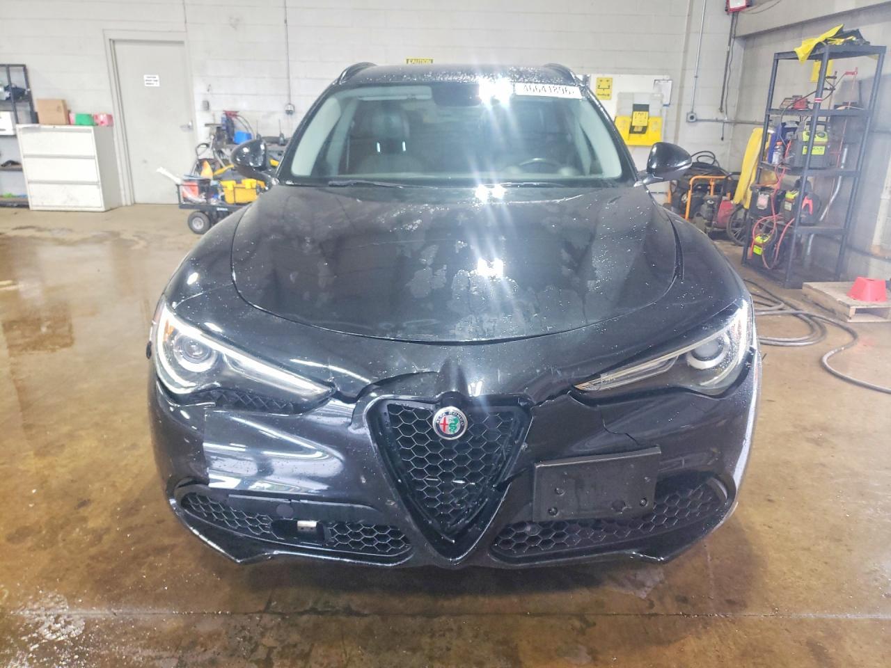 2018 Alfa Romeo Stelvio Sport - Фото 5