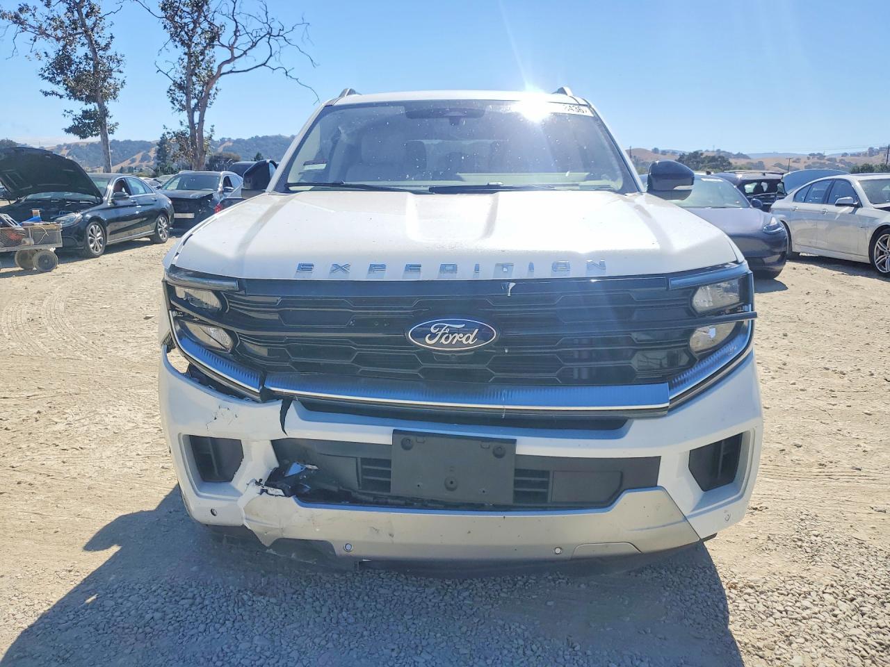 2025 Ford Expedition Max Platinum - Image 5
