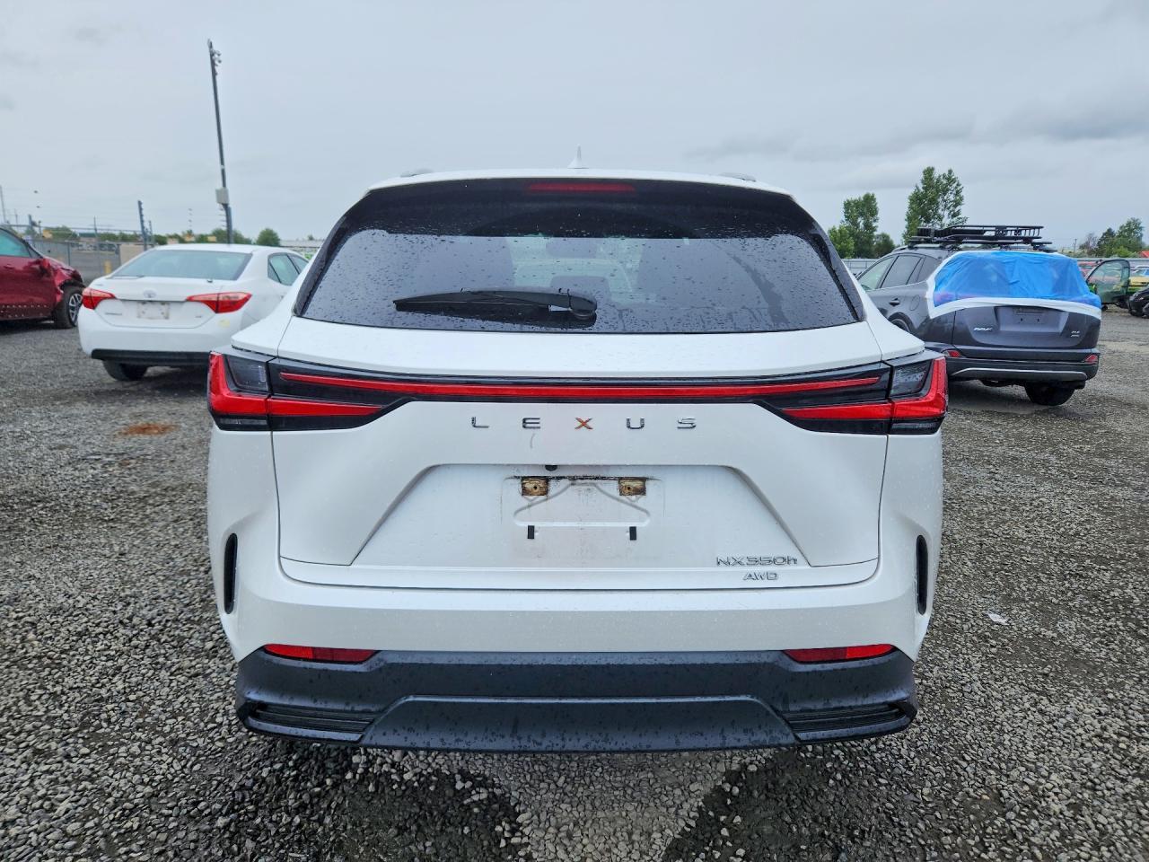 2023 Lexus Nx 350H - Image 6