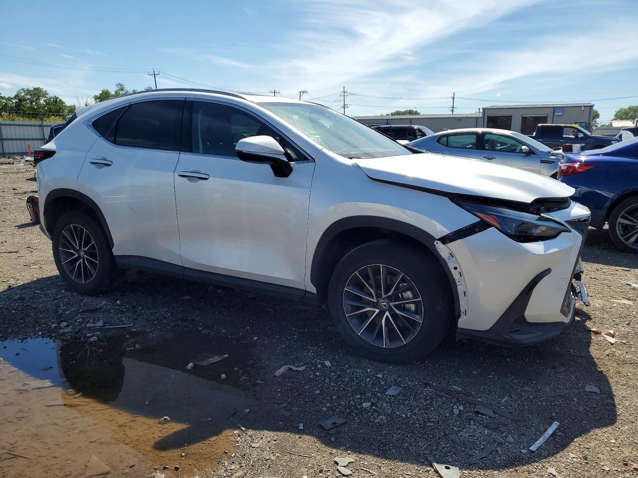 2024 Lexus Nx 350 Base - Фото 4