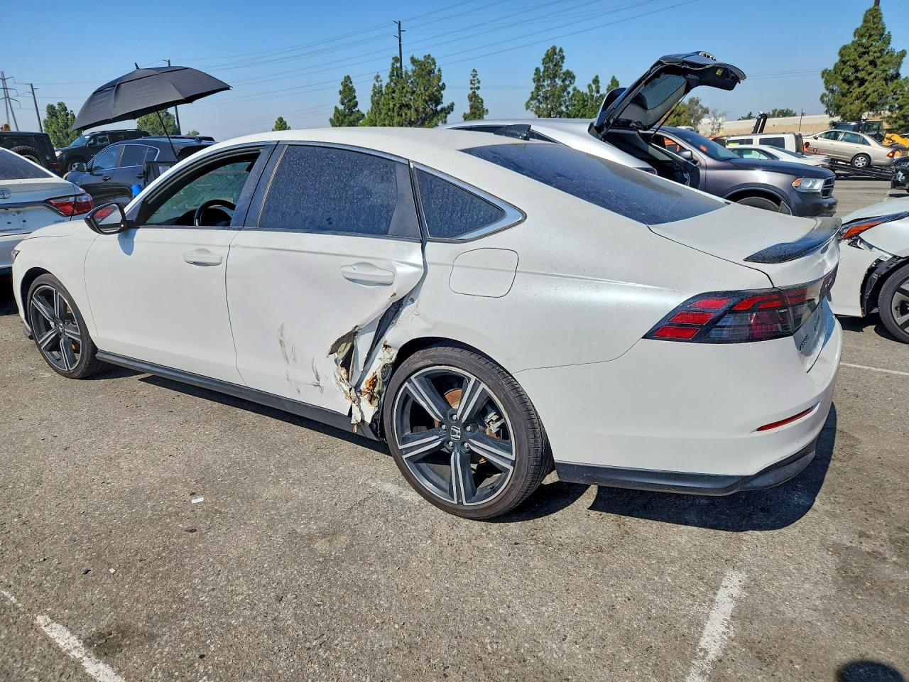 2024 Honda Accord Hybrid Sport - Фото 2