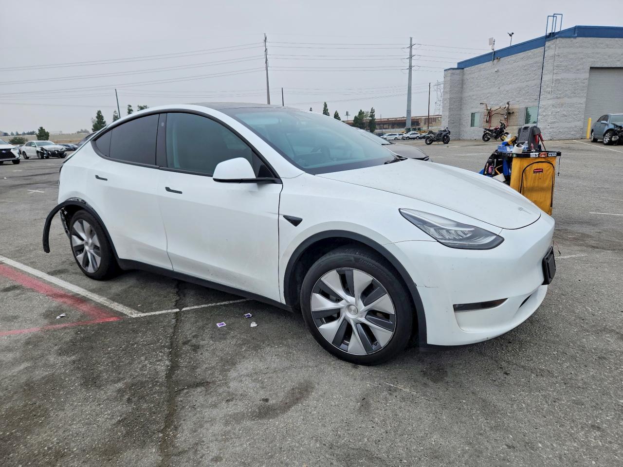 2023 Tesla Model Y - Фото 4