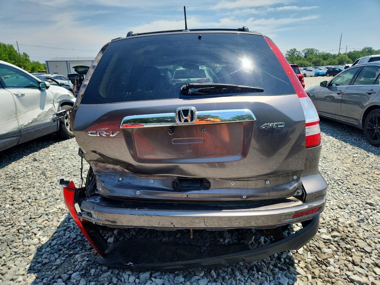 2010 Honda Cr-V Exl - Image 6