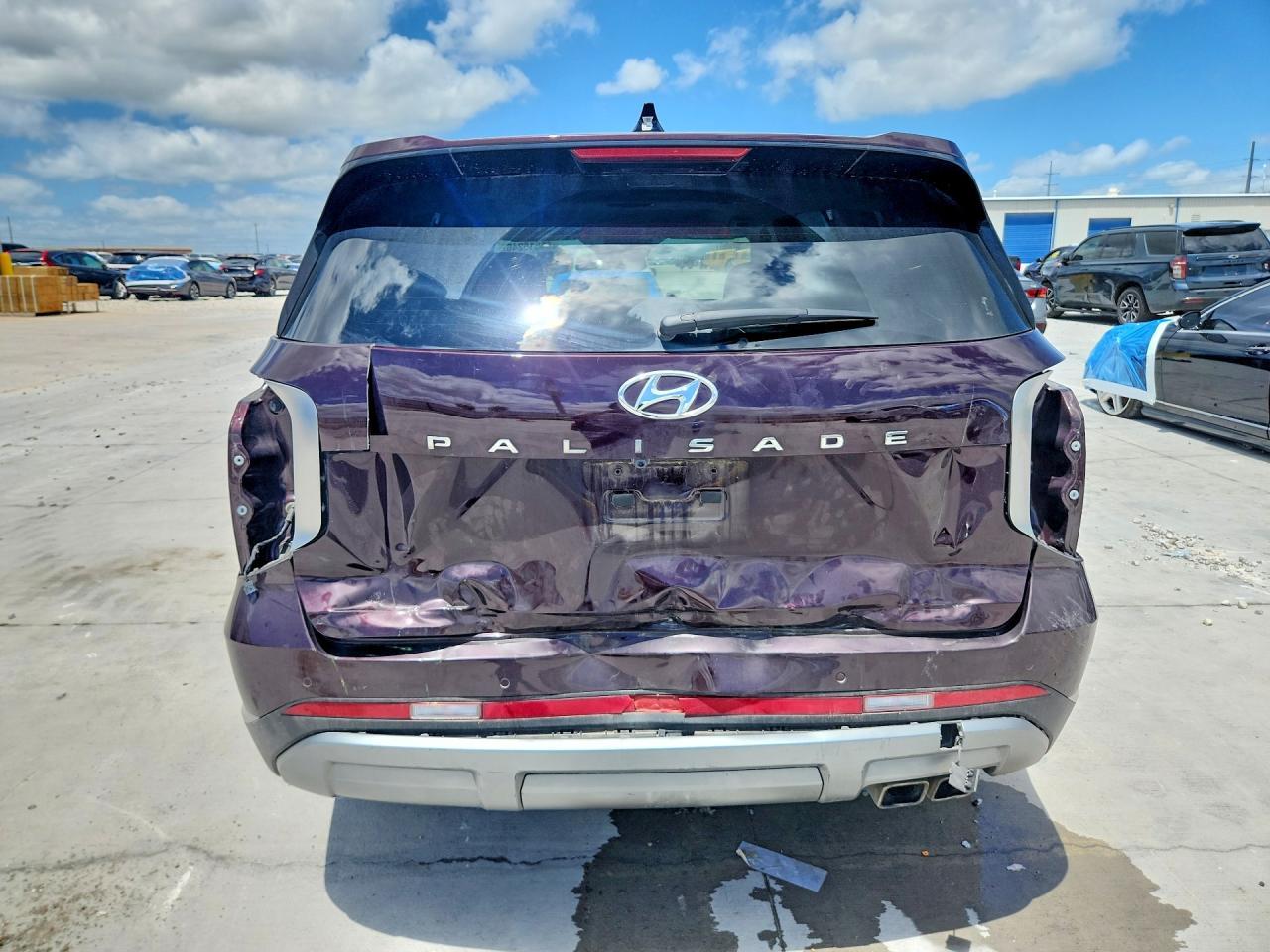2025 Hyundai Palisade Limited - Фото 6