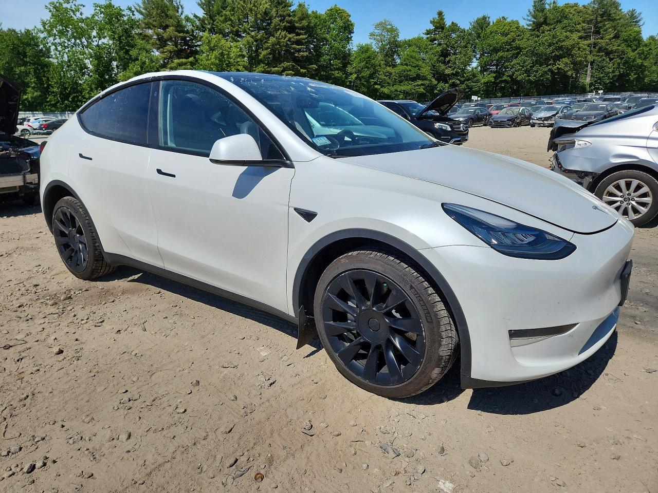 2023 Tesla Model Y - Image 4