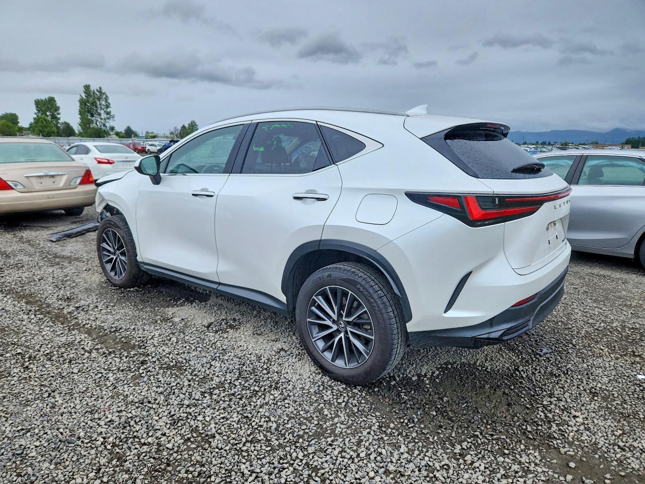 2023 Lexus Nx 350H - Image 2