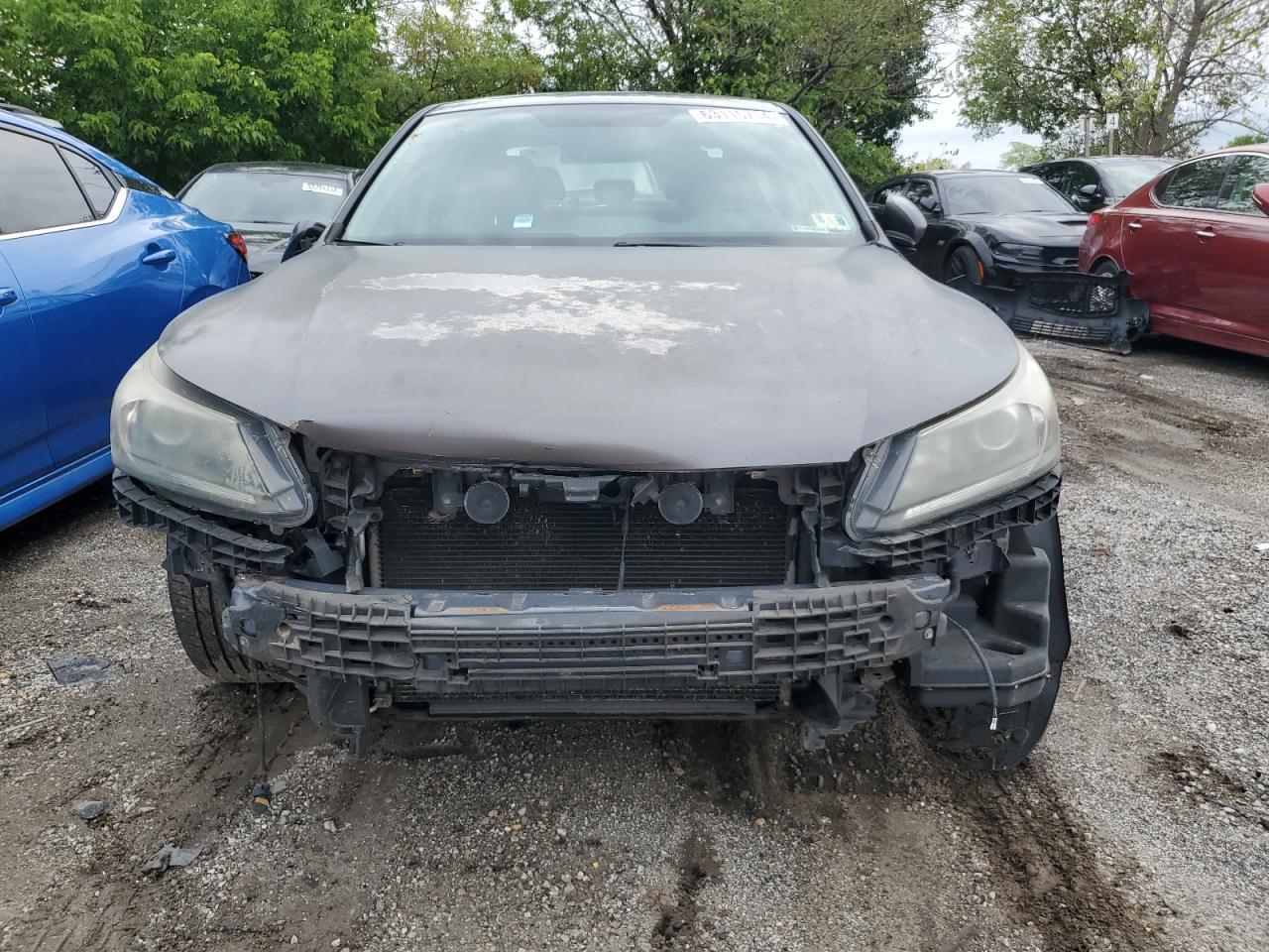 2013 Honda Accord Sport - Фото 5