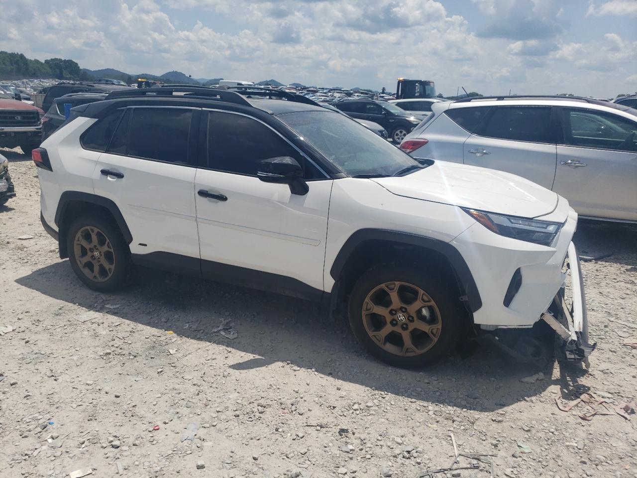 2024 Toyota Rav4 Woodland Edition - Фото 4