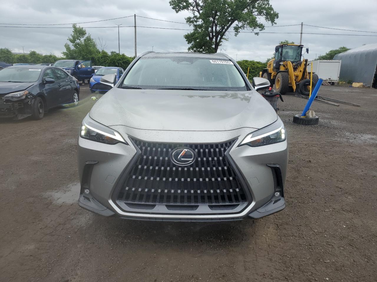 2025 Lexus Nx 450H Luxury - Image 5
