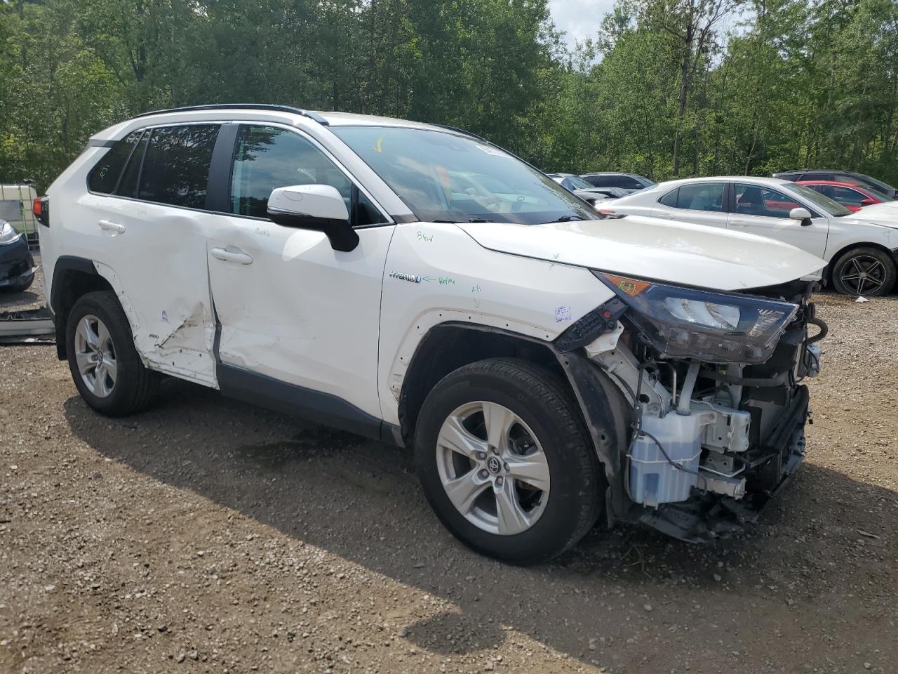 2019 Toyota Rav4 Le - Image 4