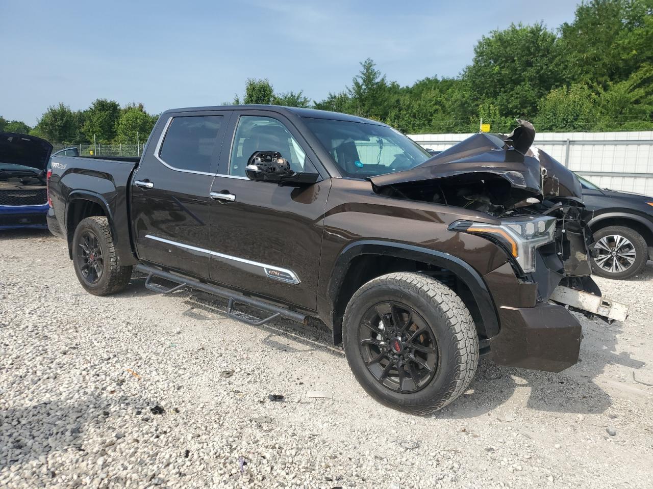 2025 Toyota Tundra Crewmax Platinum - Фото 4