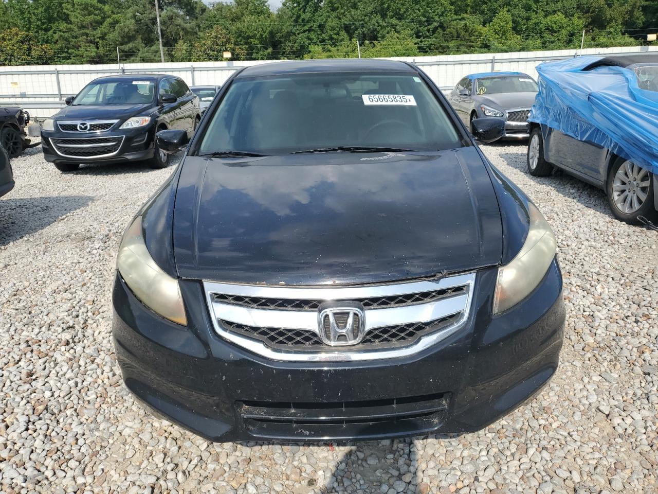 2011 Honda Accord - Фото 5