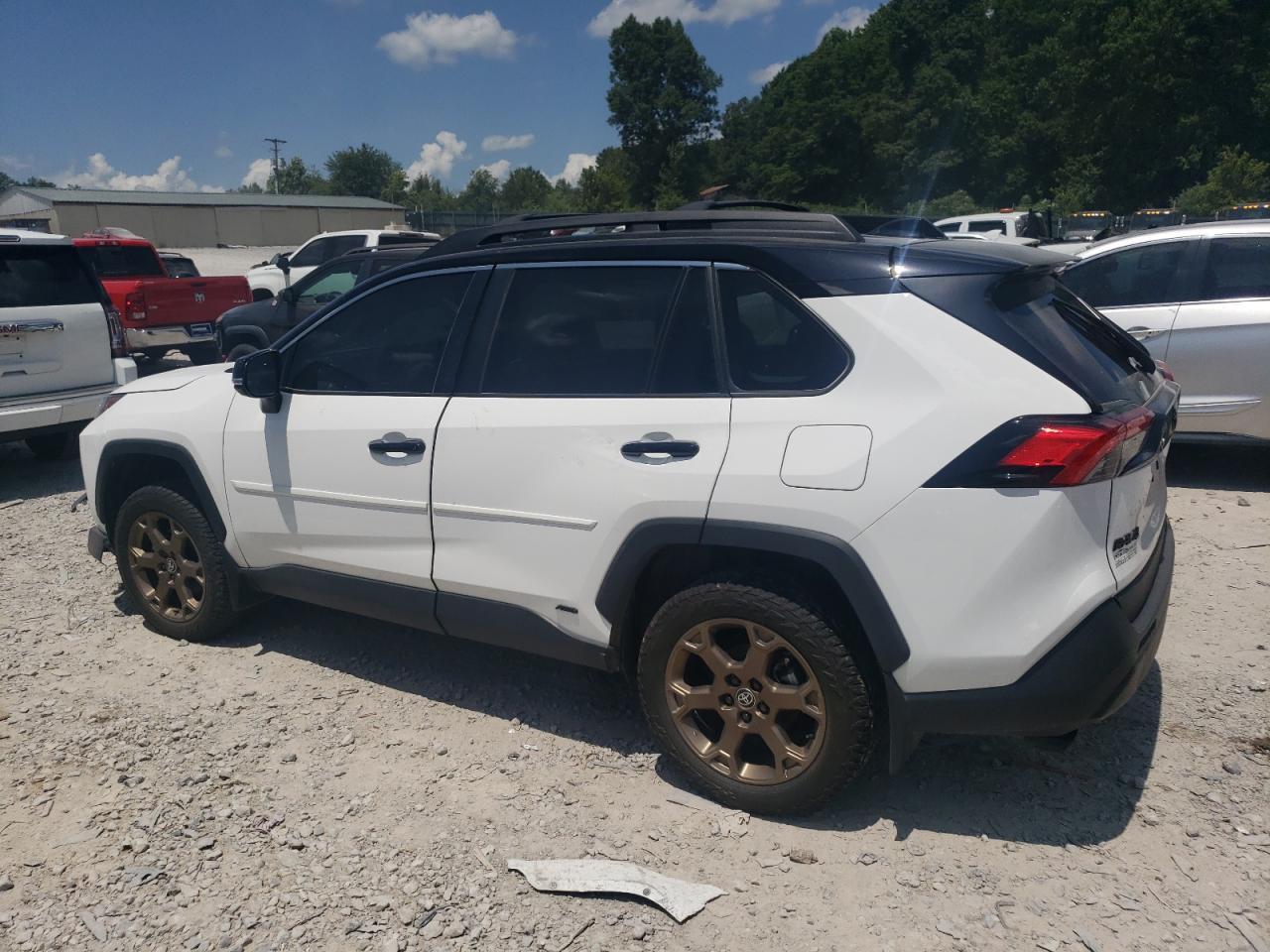 2024 Toyota Rav4 Woodland Edition - Фото 2