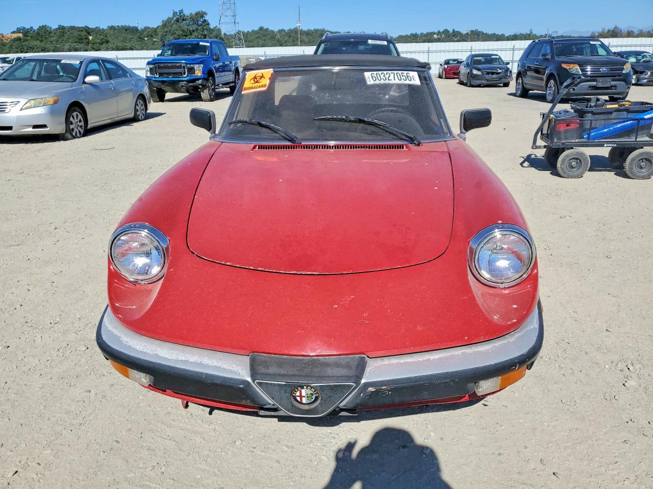 1987 Alfa Romeo Spider Graduate - Image 5
