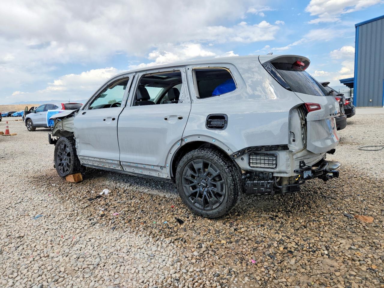 2022 Kia Telluride Sx - Фото 2