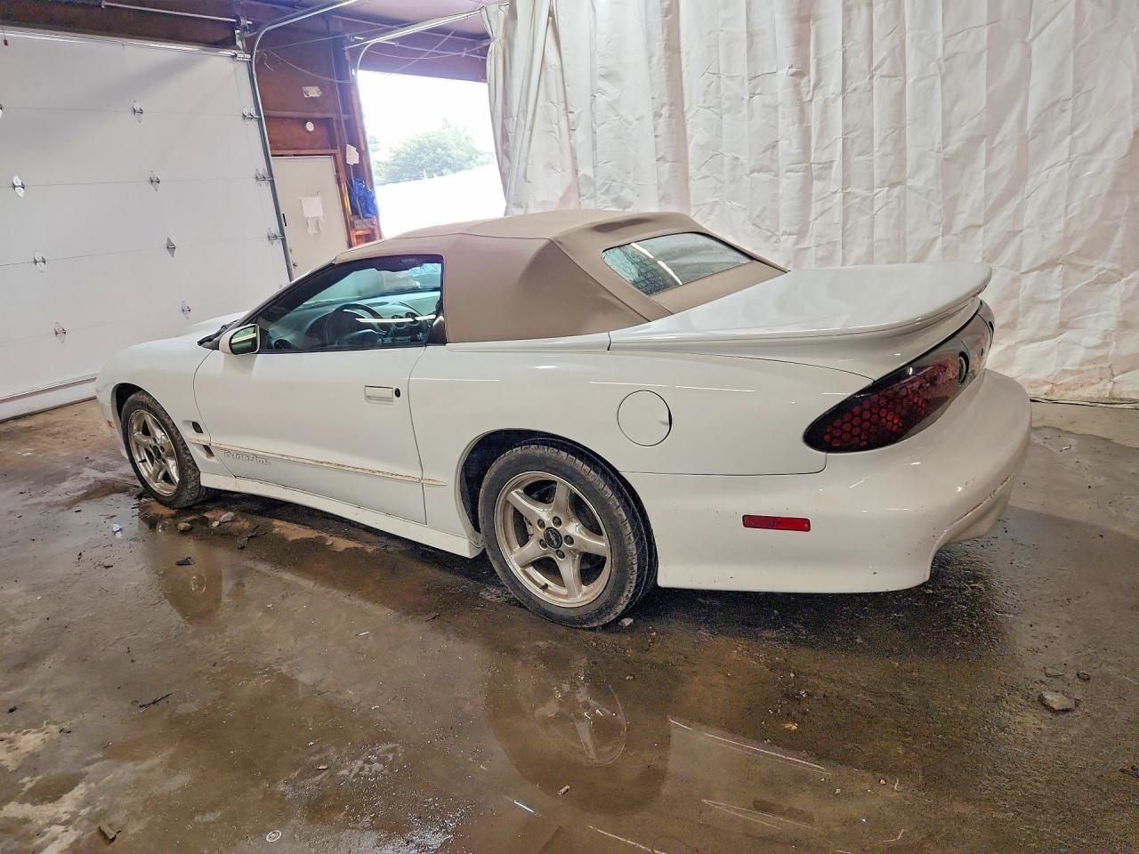 2000 Pontiac Firebird Trans Am - Image 2