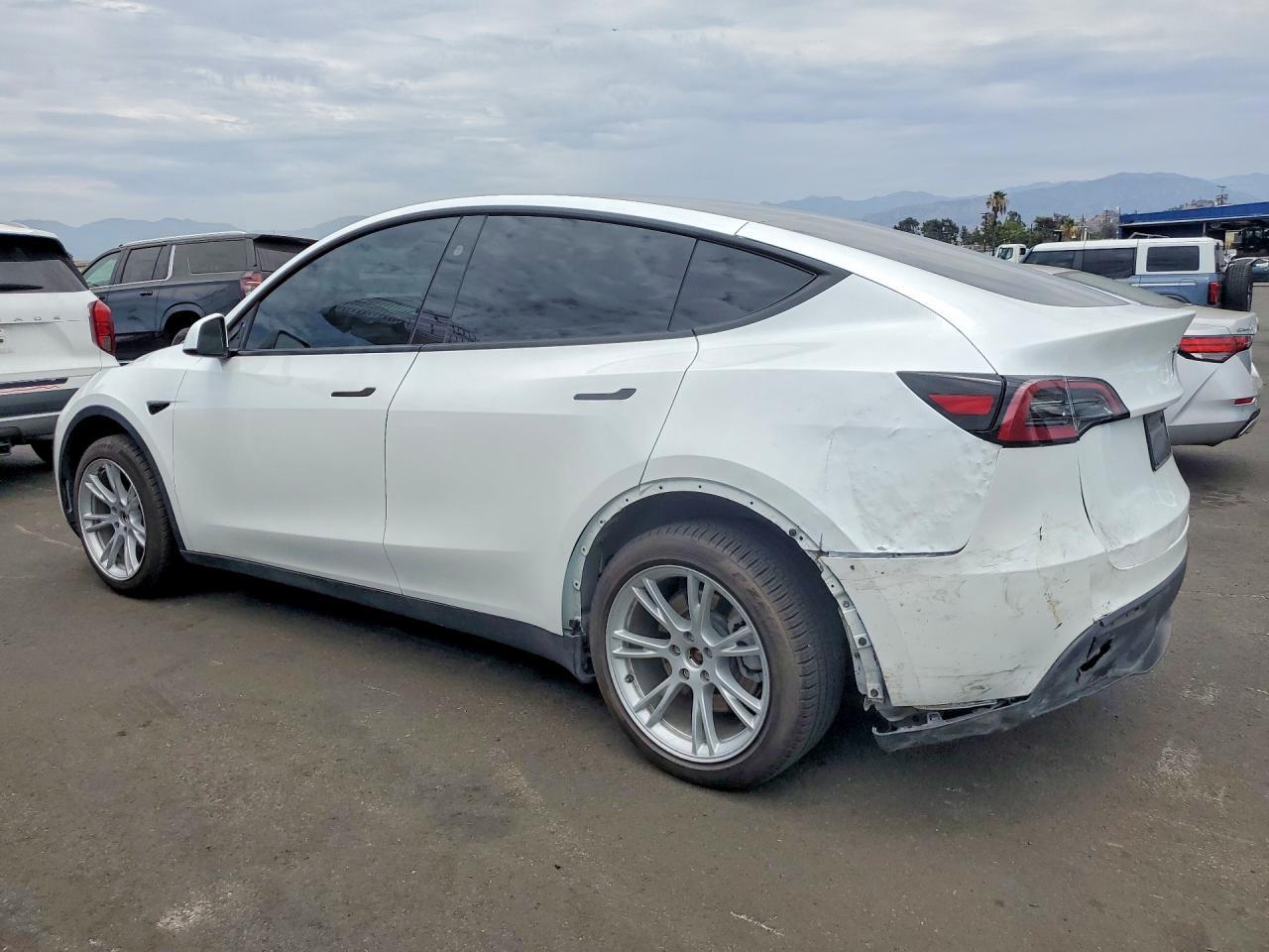 2023 Tesla Model Y - Фото 2