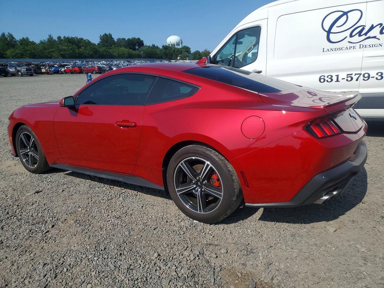 2024 Ford Mustang - Image 2
