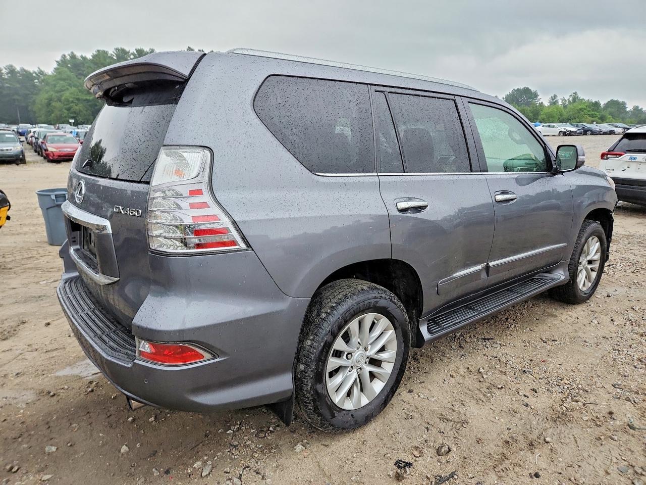 2018 Lexus Gx 460 - Фото 3
