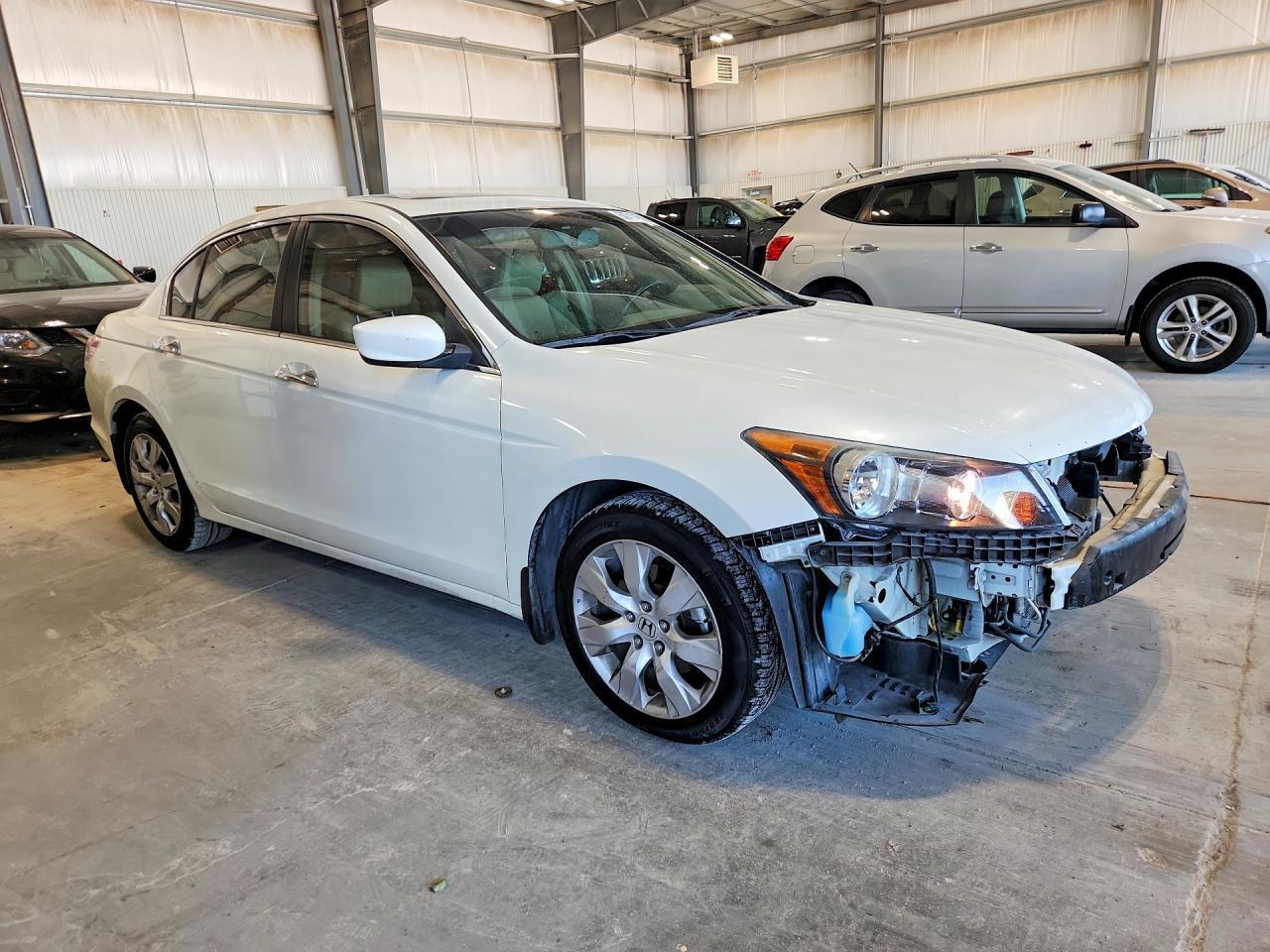 2008 Honda Accord Exl - Image 4