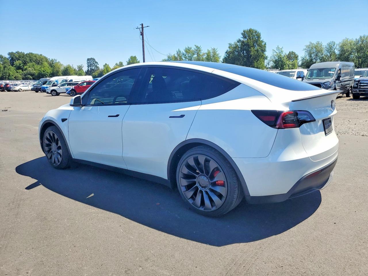 2025 Tesla Model Y - Фото 2