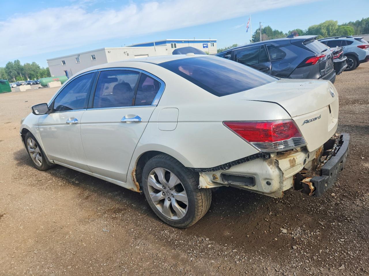2008 Honda Accord Exl - Image 2