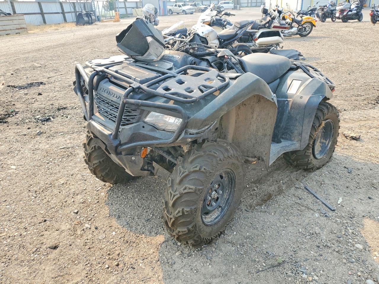 2024 Honda Foreman Atv - Фото 2