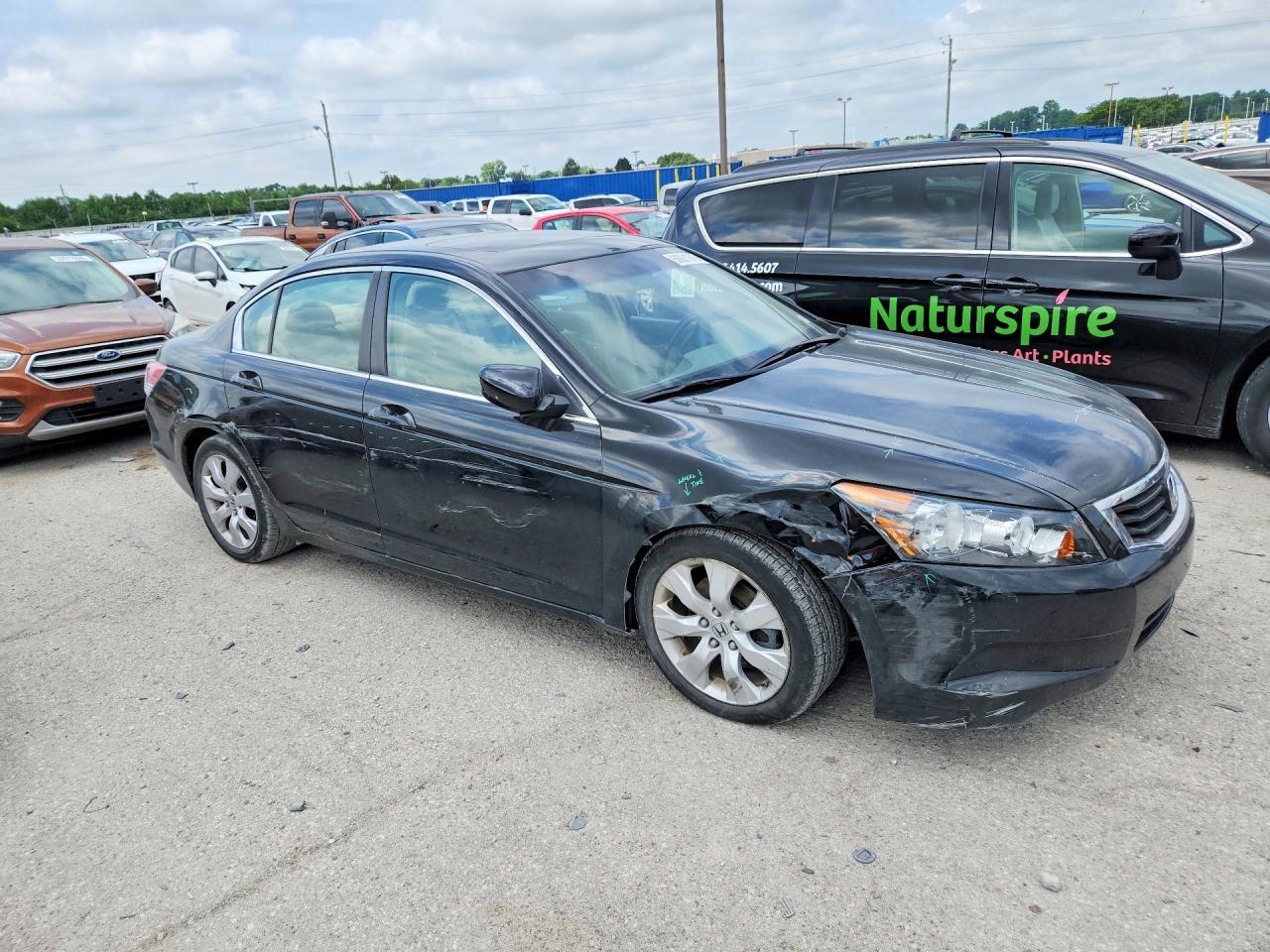 2009 Honda Accord Exl - Фото 4