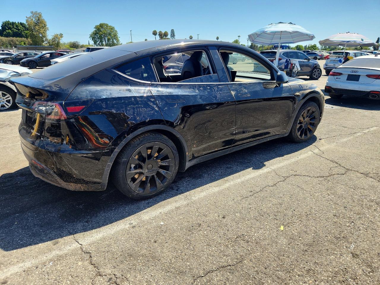 2024 Tesla Model Y - Фото 3