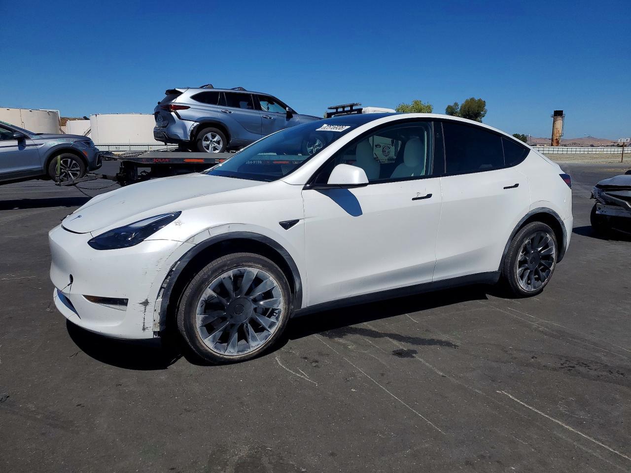 2025 Tesla Model Y
