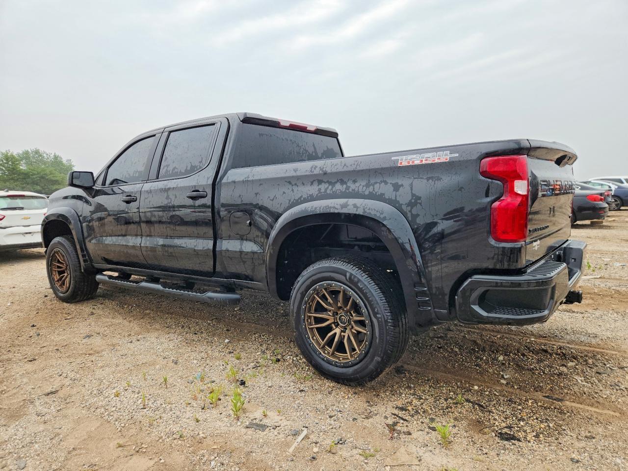 2020 Chevrolet Silverado K1500 Trail Boss Custom - Фото 2