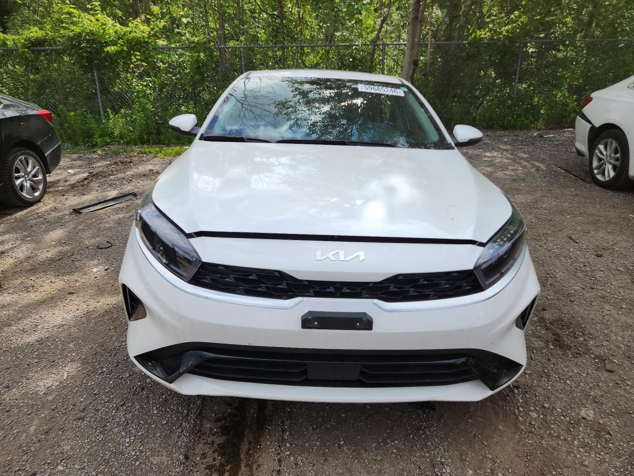 2024 Kia Forte Ex - Image 5