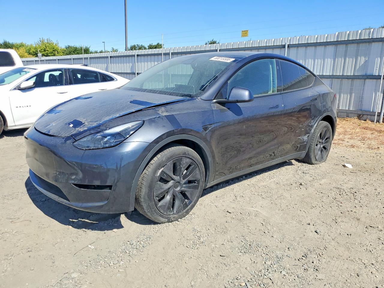 2025 Tesla Model Y