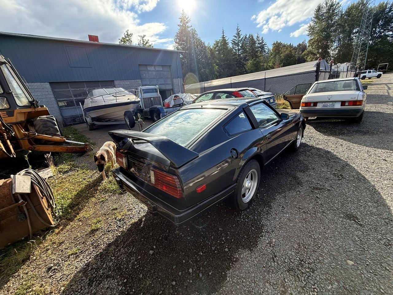 1982 Datsun 280Zx - Фото 4