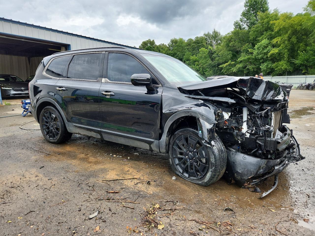 2021 Kia Telluride Sx - Image 4